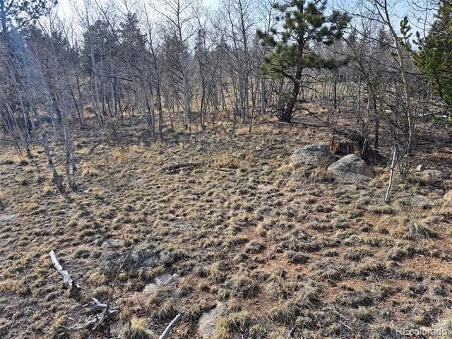 93 Wyandot Way Como, CO 80432
