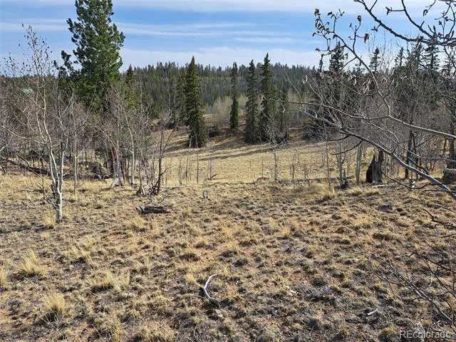 93 Wyandot Way Como, CO 80432