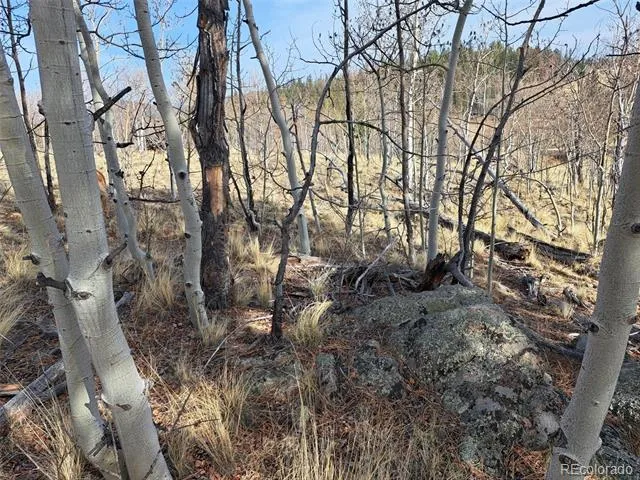93 Wyandot Way Como, CO 80432
