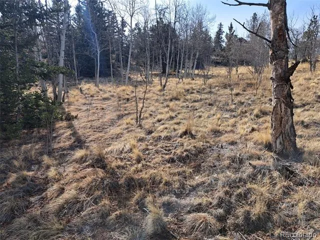 93 Wyandot Way Como, CO 80432