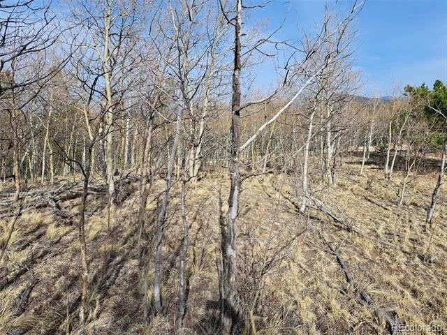 93 Wyandot Way Como, CO 80432