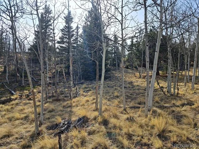 93 Wyandot Way Como, CO 80432