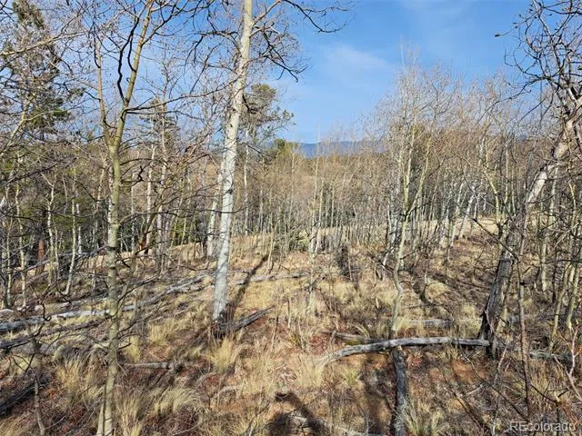 93 Wyandot Way Como, CO 80432