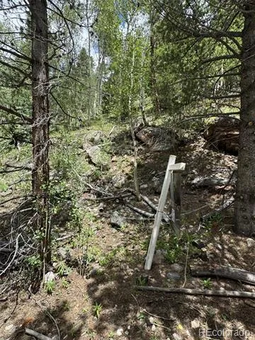 0 Loch Lomond Road Idaho Springs, CO 80452