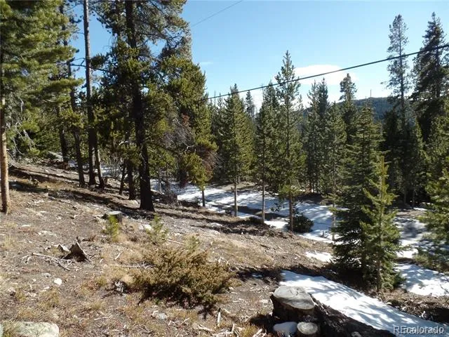 0 Loch Lomond Road Idaho Springs, CO 80452