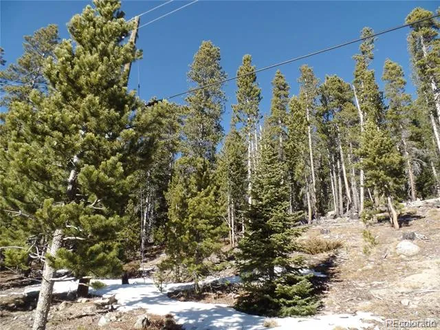 0 Loch Lomond Road Idaho Springs, CO 80452