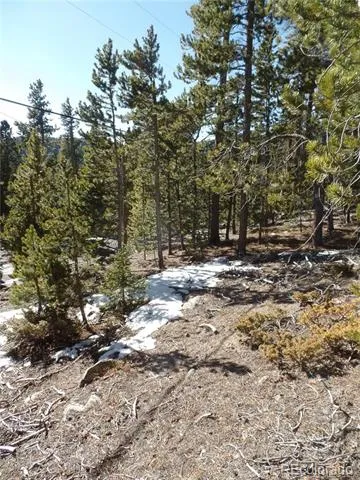 0 Loch Lomond Road Idaho Springs, CO 80452
