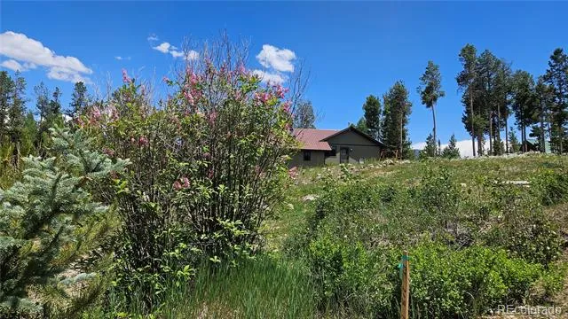 118 GCR 4947 Grand Lake, CO 80447