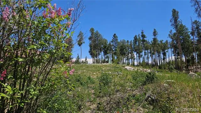 118 GCR 4947 Grand Lake, CO 80447