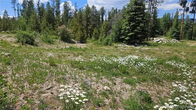118 GCR 4947 Grand Lake, CO 80447