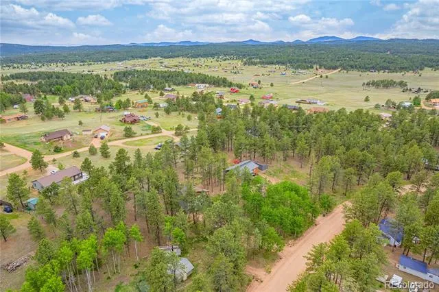 114 Homestead Lane Florissant, CO 80816