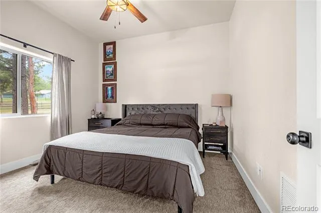 114 Homestead Lane Florissant, CO 80816