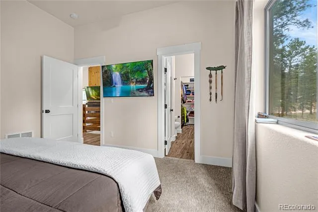 114 Homestead Lane Florissant, CO 80816