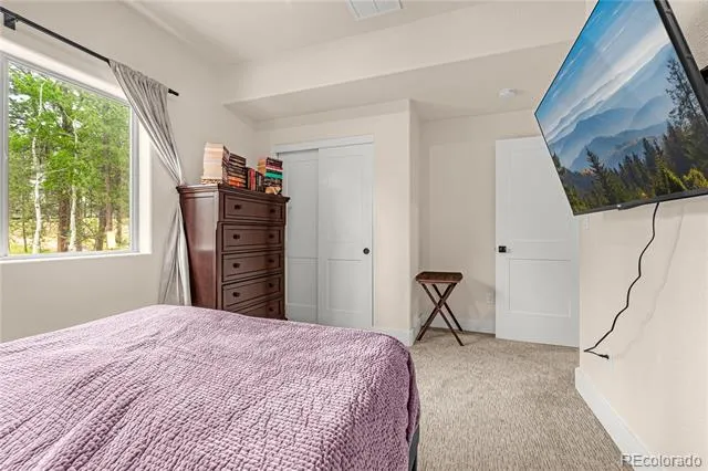 114 Homestead Lane Florissant, CO 80816