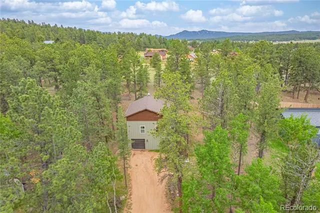 114 Homestead Lane Florissant, CO 80816