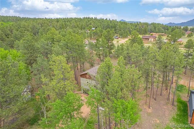 114 Homestead Lane Florissant, CO 80816