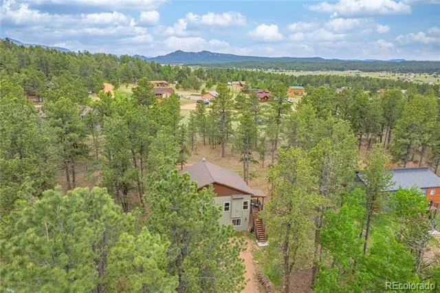 114 Homestead Lane Florissant, CO 80816