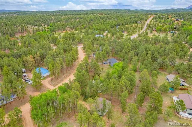 114 Homestead Lane Florissant, CO 80816