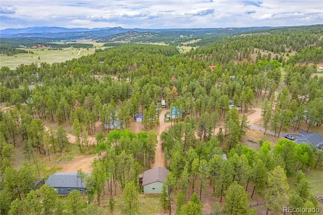 114 Homestead Lane Florissant, CO 80816