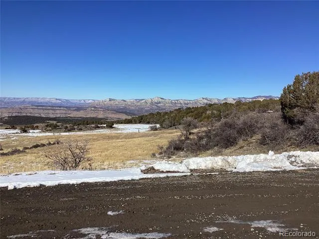 9073 54 7/10 ROAD Molina, CO 81646