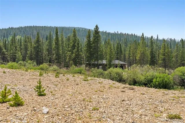 Address Not Shown Breckenridge, CO 80424