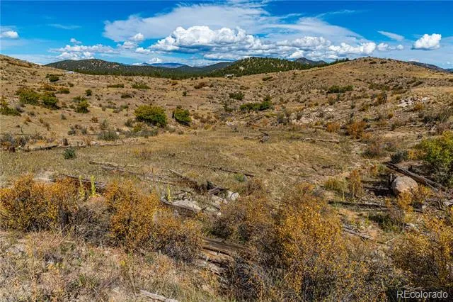 701 Shannon Trail Cotopaxi, CO 81223