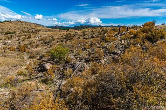701 Shannon Trail Cotopaxi, CO 81223