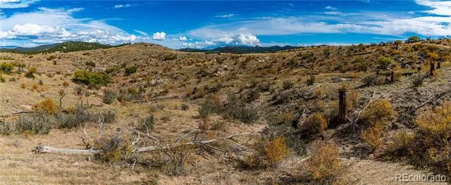 701 Shannon Trail Cotopaxi, CO 81223