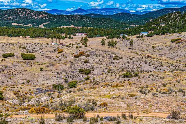701 Shannon Trail Cotopaxi, CO 81223