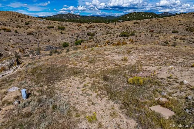 701 Shannon Trail Cotopaxi, CO 81223