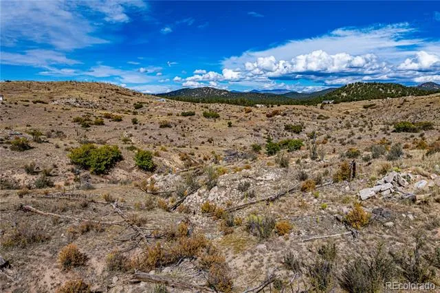 701 Shannon Trail Cotopaxi, CO 81223