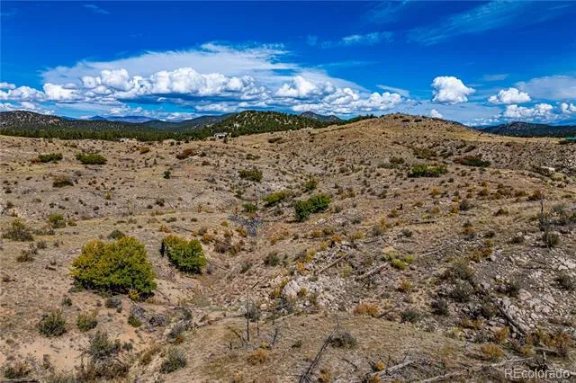 701 Shannon Trail Cotopaxi, CO 81223