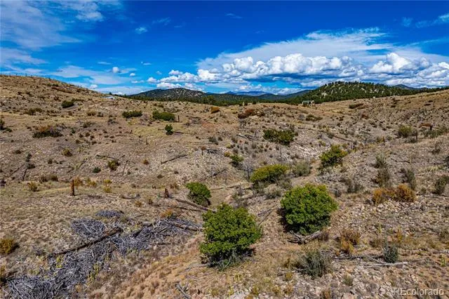 701 Shannon Trail Cotopaxi, CO 81223