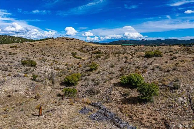 701 Shannon Trail Cotopaxi, CO 81223