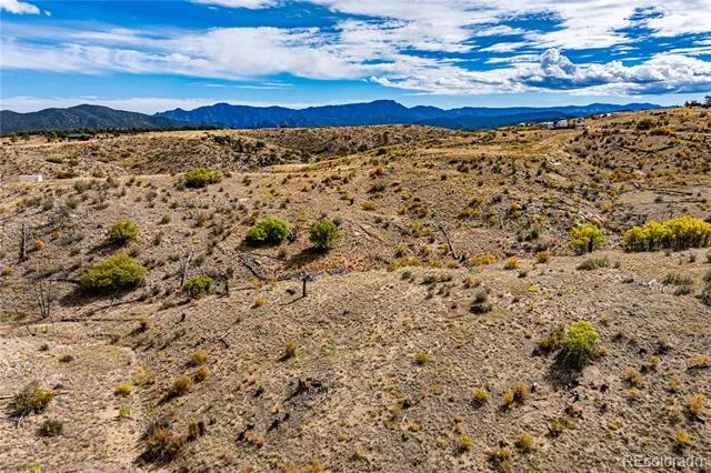 701 Shannon Trail Cotopaxi, CO 81223