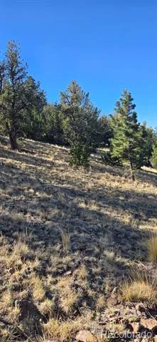 0 County Road 41g Center, CO 81125