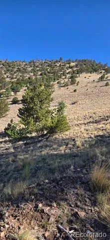 0 County Road 41g Center, CO 81125