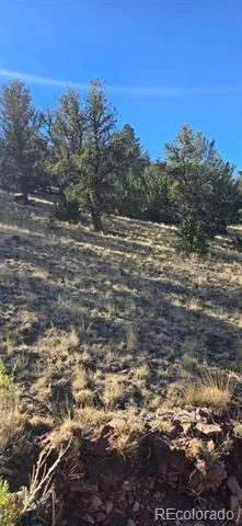 0 County Road 41g Center, CO 81125
