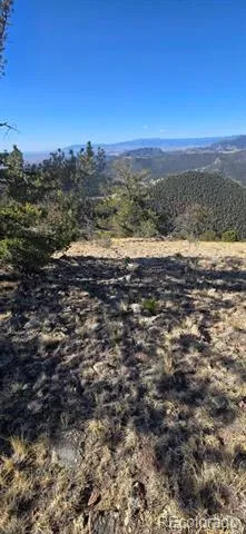 0 County Road 41g Center, CO 81125