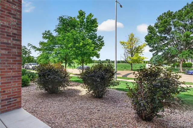 804 Summer Hawk Drive #8105 Longmont, CO 80504