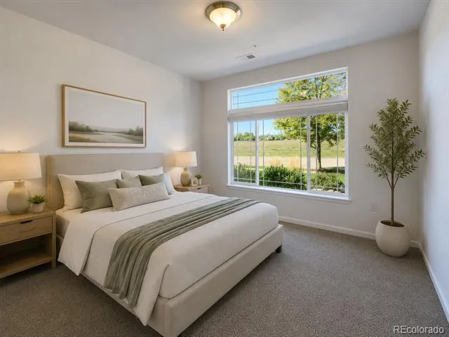 804 Summer Hawk Drive #8105 Longmont, CO 80504