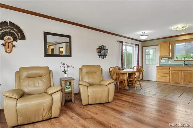 172 Larissa Lane Buena Vista, CO 81211