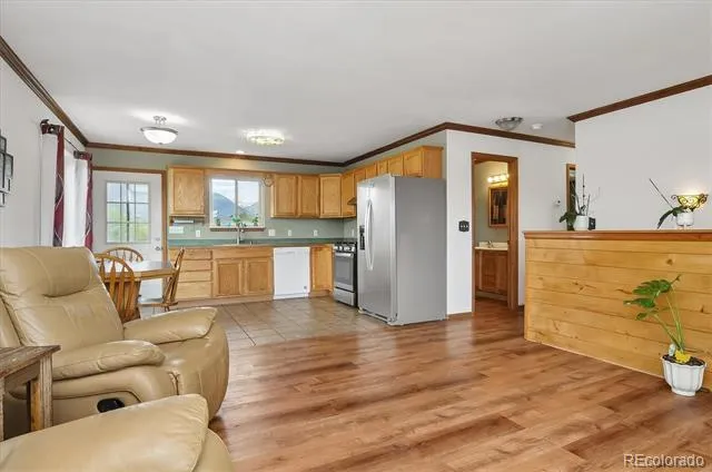 172 Larissa Lane Buena Vista, CO 81211