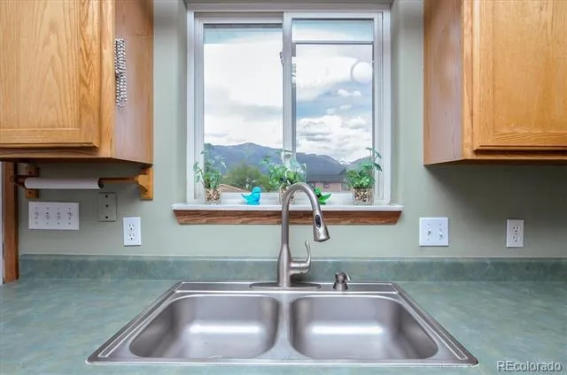 172 Larissa Lane Buena Vista, CO 81211