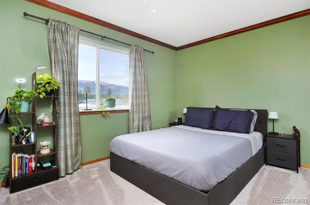 172 Larissa Lane Buena Vista, CO 81211
