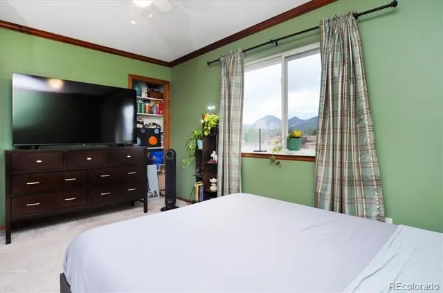 172 Larissa Lane Buena Vista, CO 81211
