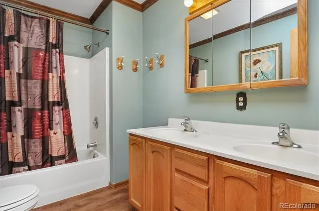172 Larissa Lane Buena Vista, CO 81211
