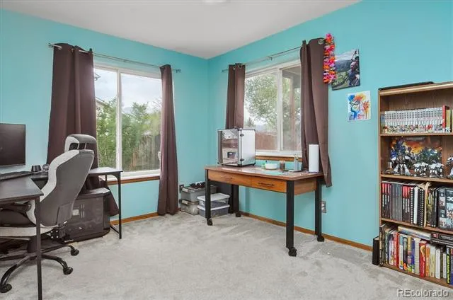 172 Larissa Lane Buena Vista, CO 81211