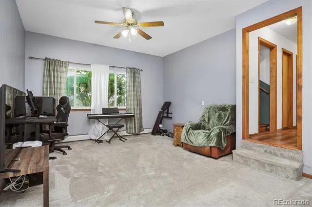 172 Larissa Lane Buena Vista, CO 81211