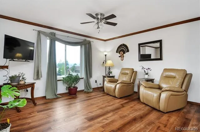 172 Larissa Lane Buena Vista, CO 81211